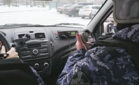 В Тосно задержали подозреваемую в краже товаров из супермаркета