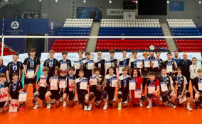 В Сосновом Бору прошел Рождественский турнир по волейболу