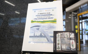 На станции метро «Ладожская» открылась выставка «Под блокадным небом»