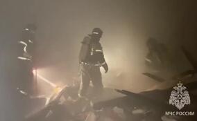 Из горящего ангара во Мге вывели 10 баранов