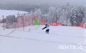 Приозерский район принимает чемпионат СЗФО по сноуборду