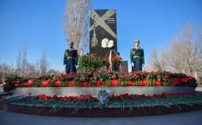 В День Ленинградской победы в Петербург приехали блокадники из девяти стран