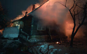 За сутки в Ленобласти потушили 19 пожаров