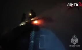 Пожар в Романовке привёл к гибели домашних животных