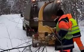 Дорожники Ленобласти ведут вырубку нависающих над трассами деревьев