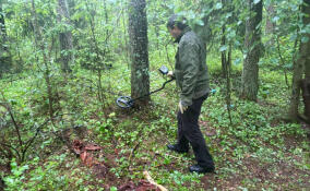 В Кингисеппе двое насмерть забили мужчину и спрятали тело под бревнами