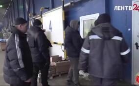 Полиция Петербурга проверила мигрантов в Калининском районе