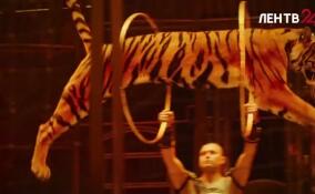 31 января в Петербурге стартует новое грандиозное шоу «Королевский цирк» Гии Эрадзе