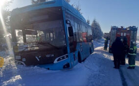 Прокуратура проводит проверку по факту ДТП с автобусом в Гатчинском районе