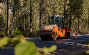 Дороги Ленобласти ремонтируют по просьбам местных жителей