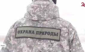 Экологическую награду учредило правительство Ленобласти