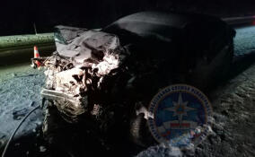 Лобовое столкновение на трассе «Кола» унесло жизни двух человек