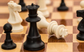 Гатчинские росгвардейцы взяли бронзу на шахматном турнире в Петербурге