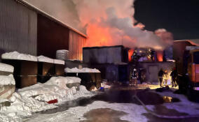 За сутки в Ленинградской области потушили 18 пожаров