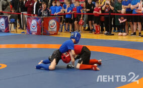 В Выборге стартовал чемпионат области по древнему панкратиону