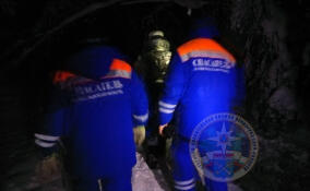 Спасатели вывели из леса у Вырицы заплутавшую пожилую женщину