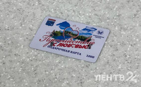 Ленинградцам рассказали, что входит в подарочное свадебное путешествие для молодожёнов