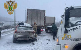 Пять грузовиков и 10 легковушек попали в ДТП на КАД