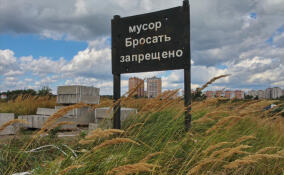 Возможное строительство КПО под Любанью обсудили на прямой линии Александра Дрозденко