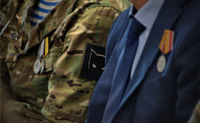 Жительница Ленобласти рассказала губернатору о проблемах с получением земли для ветерана СВО