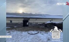 В Курковицах тушат пожар в коровнике