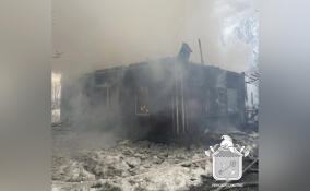 При пожаре в Выборгском районе погиб человек