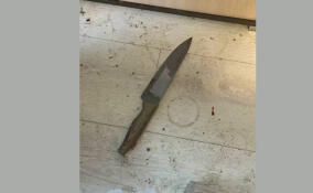 Во Всеволожске женщину подозревают в убийстве сожителя