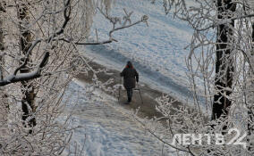 Как россияне переносят морозы и поддерживают здоровье