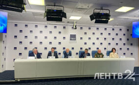 В 2025 году Общественная палата Ленобласти получила около ста обращений от жителей