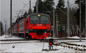 Юный зацепер получил травмы на железной дороге в Лужском районе