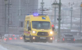 С начала зимы в НИИ Джанелидзе госпитализировали 45 человек с обморожениями