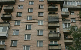 В Ленобласти женщина выбросила с 16-го этажа своих детей, после чего покончила с собой