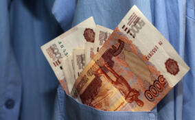 Продавец меховых изделий стал фигурантом дела о покушении на дачу взятки в Бокситогорске