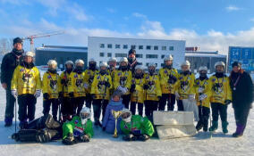 Серебро всероссийских соревнований завоевали юные хоккеистки из Ленобласти