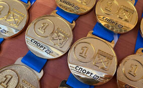 В Выборге определили лучшие региональные клубы по панкратиону