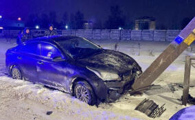 Пьяный водитель врезался в столб и попытался скрыться в Красногвардейском районе Петербурга