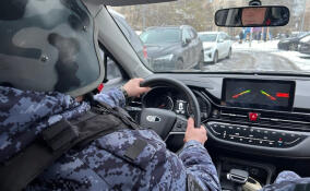 Подозреваемого в краже во Всеволожском районе задержали в Петербурге