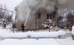 За сутки в Ленобласти потушено 15 пожаров