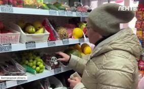 Белгородцы помогают фронту