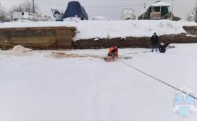 Под лед Новоладожского канала провалилась собака