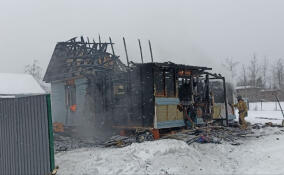 За сутки в Ленобласти потушили 12 пожаров и нашли двух человек в лесах