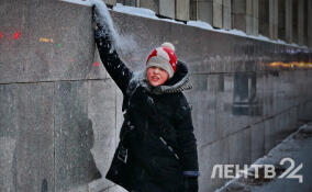 Небольшой снег и до -13 градусов: о погоде в Ленобласти 5 февраля