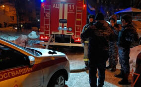 В Петербурге задержали поджигательницу пункта сбора гуманитарной помощи