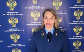 Прокуратура проверит приют «Островок надежды» в Ломоносовском районе