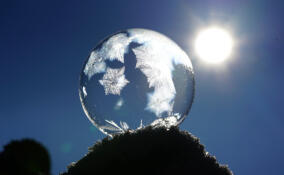 Морозы до -27 вновь ждут в Ленобласти в ночь на пятницу: прогноз погоды на 6 февраля