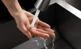 Бастрыкин поручил возбудить уголовное дело из-за проблем с водой в Дружной Горке