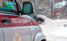 Дворника из Кудрово задержали за подделку документов у себя на родине