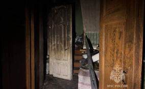 Пожар в Выборгском районе унес жизнь 93-летней женщины