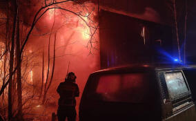 За сутки в Ленобласти потушили 16 пожаров: погиб один человек