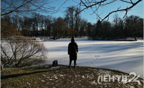 Небольшой снег и до -13 градусов пообещали жителям Ленобласти 6 февраля